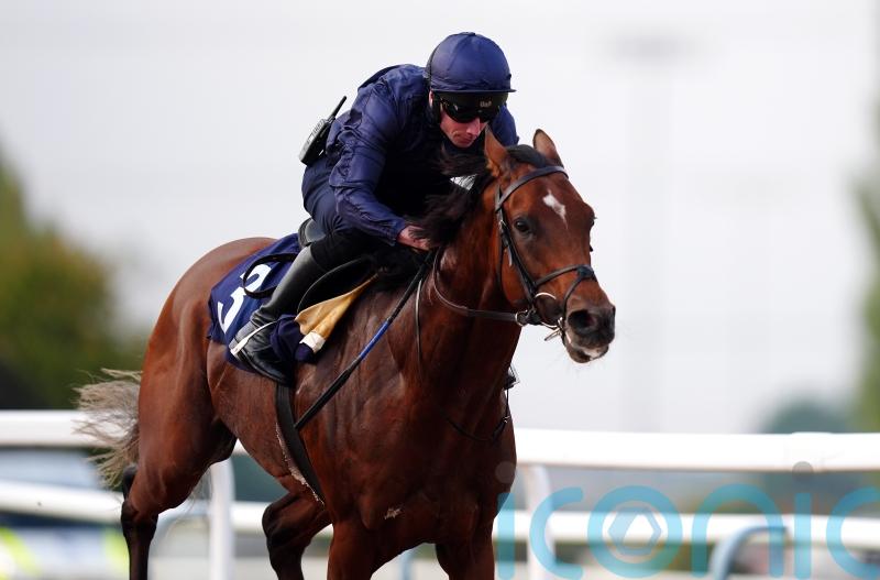 City Of Troy comes through Southwell gallop with flying colours