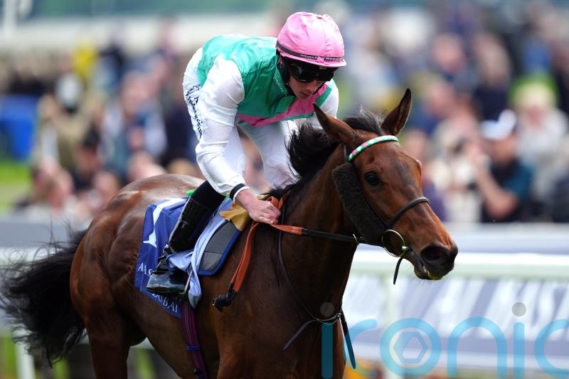 Bluestocking and Sunway carry British hopes as Arc draw confirmed