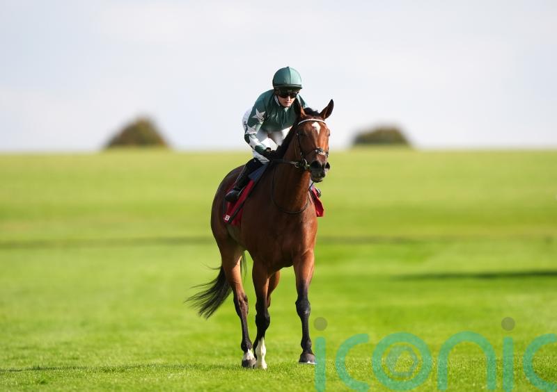 Nashwa team considering targets after Newmarket return