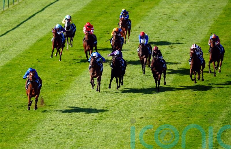 Verse Of Love makes deep impression on Newmarket bow Limerick Live