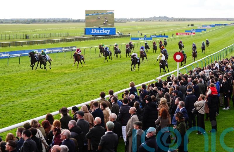 Cesarewitch controversy leaves Crisfords ‘subdued’