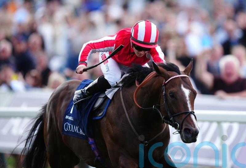 Bradsell to sign off after Breeders’ Cup bid