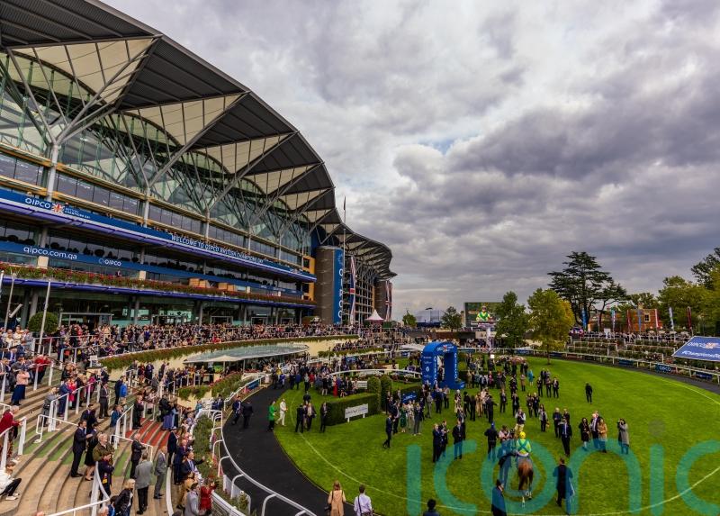 Ascot to use inner track on British Champions Day