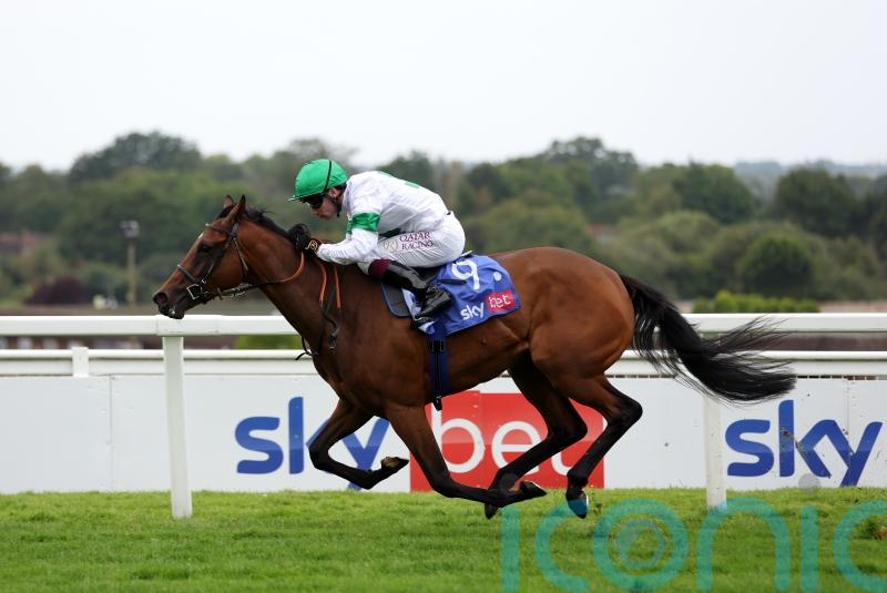 Murphy relishing Tamfana reunion at Ascot