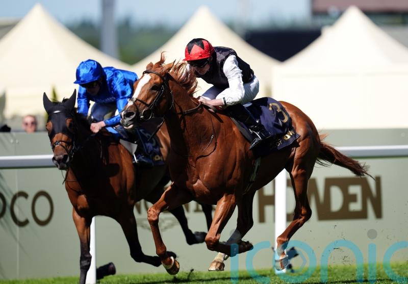 Kyprios and Trawlerman set for Long Distance Cup decider