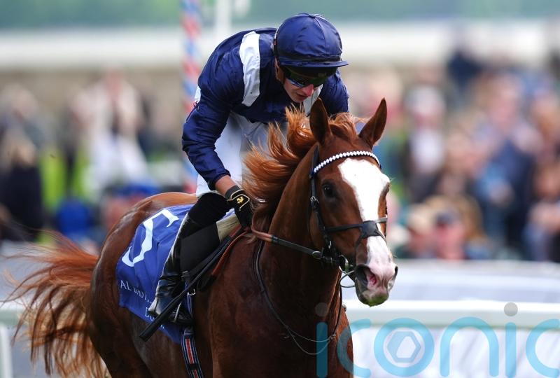 Economics team to ‘regroup’ after Champion Stakes eclipse