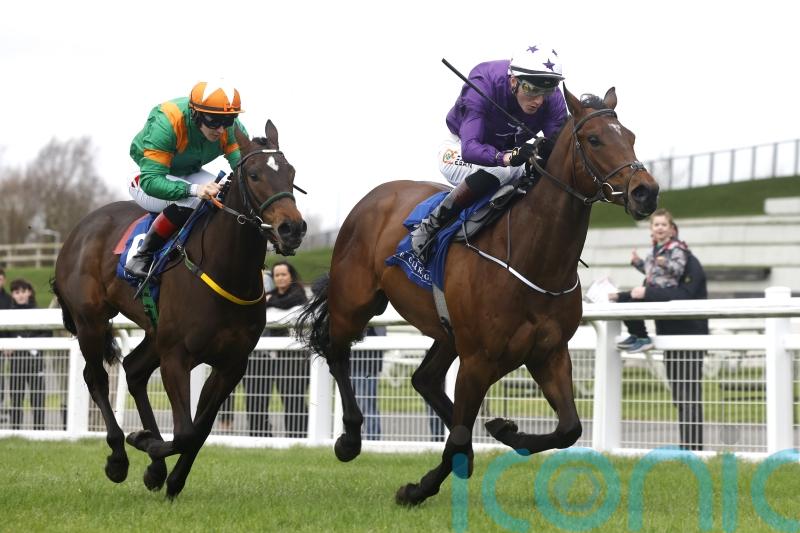 Murray aiming to make Breeders’ Cup mark