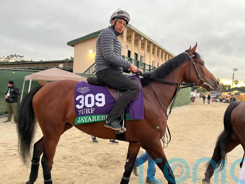 Meehan eyeing more Breeders’ Cup Turf glory with Jayarebe
