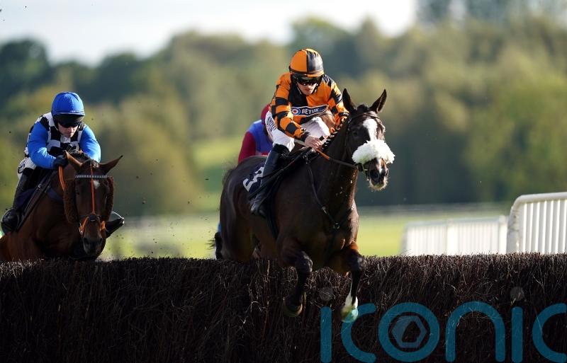 Lord Accord chasing Badger Beer gold again at Wincanton