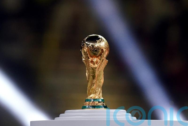Migrant workers will die if Saudi Arabia hosts World Cup – Amnesty International