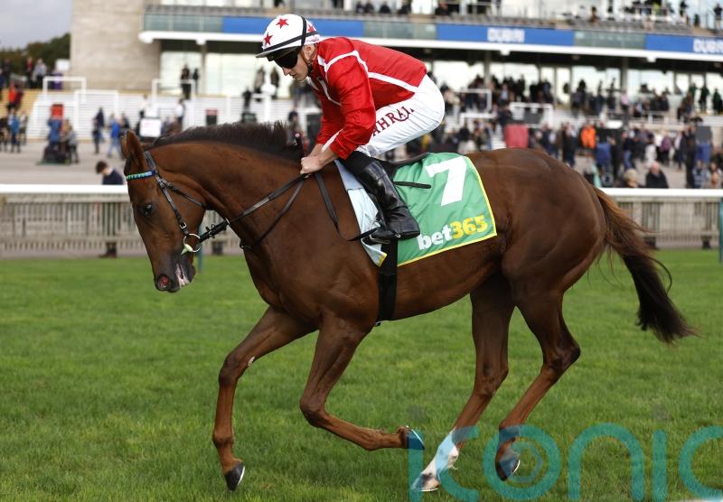 Kempton remains the aim for Shuwari despite ‘small setback’