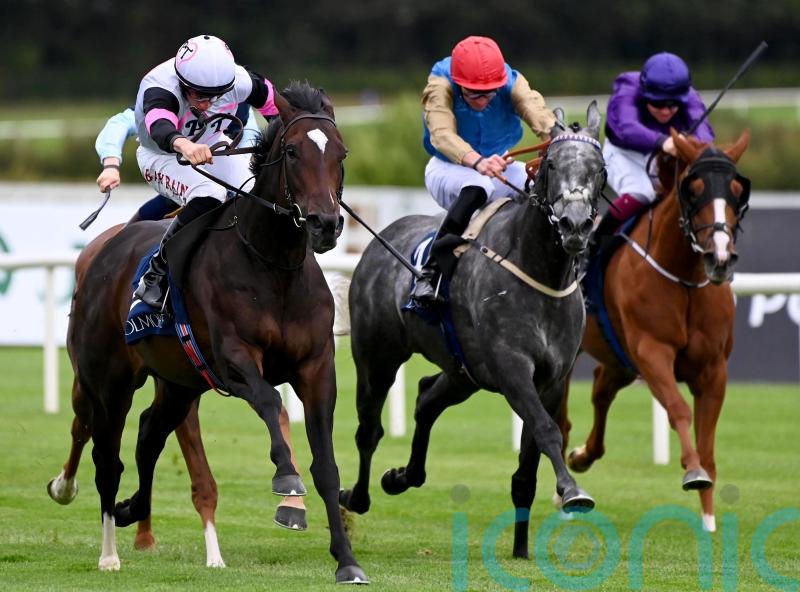 Porta Fortuna to stay in training next year