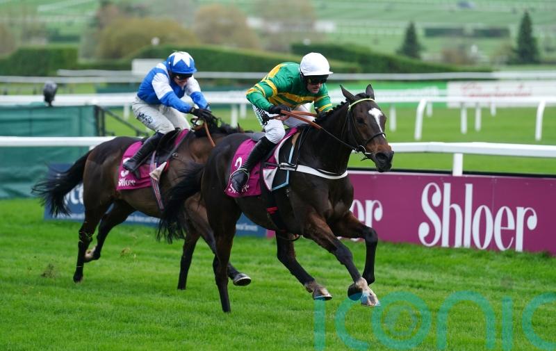 Businesslike Jonbon makes it back-to-back Shloer Chase victories