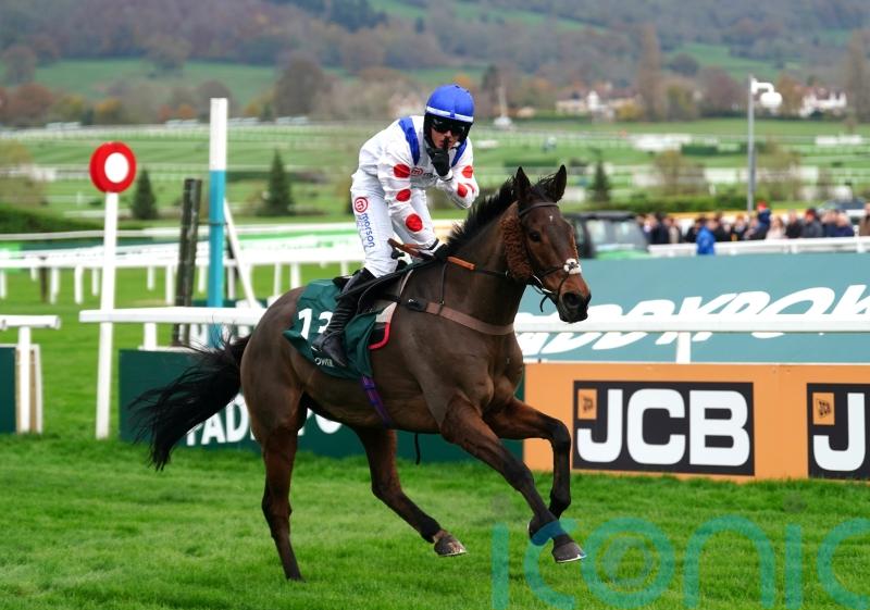 ‘It’s what every jockey dreams of’ – Il Ridoto and Freddie Gingell claim Paddy Power Gold Cup glory
