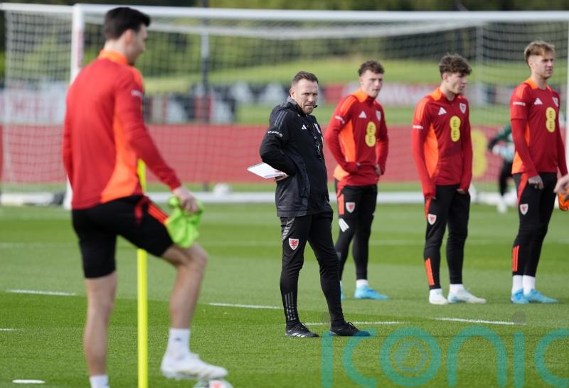 Wales v Iceland talking points as Craig Bellamy’s side chase promotion