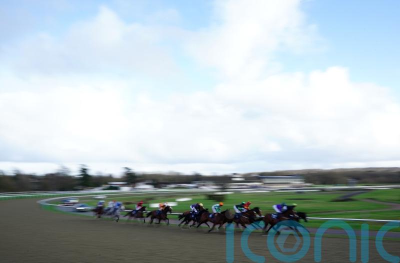 Four apprentice jockeys fall foul of Lingfield stewards