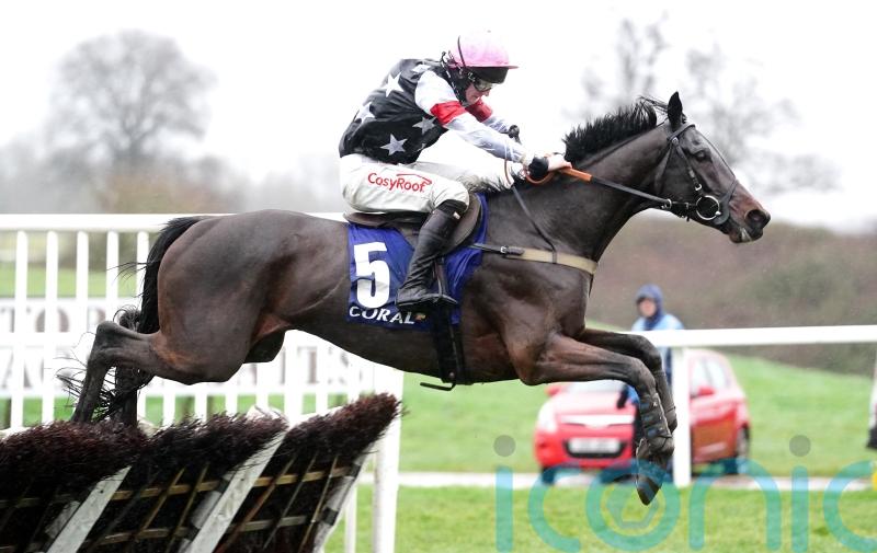 Soft ground key to Salver’s Ascot Hurdle challenge