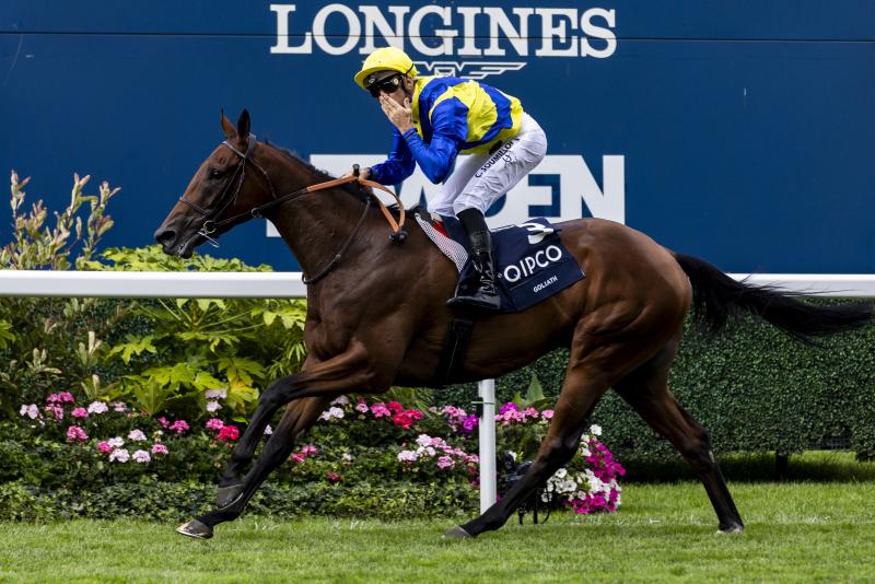 Graffard backing Goliath to be big in Japan