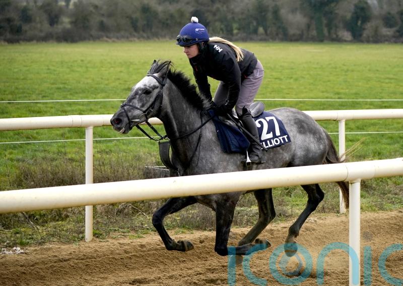 Fil Dor beats only rival at long odds-on for Thurles Listed gold