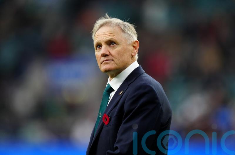 Joe Schmidt: Australia still have work to do ahead of next year&rsquo;s Lions series