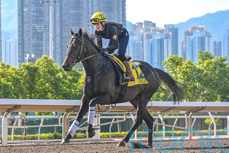 Starlust still going strong ahead of Hong Kong Sprint bid