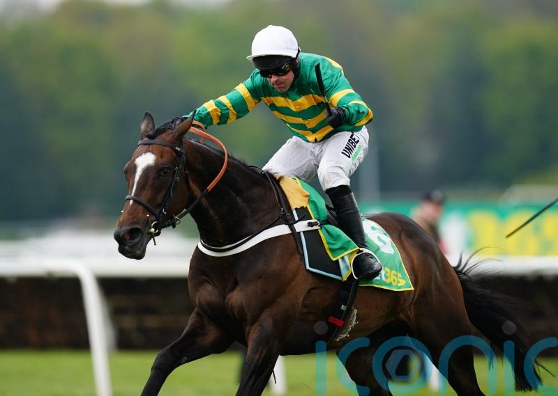 Jonbon all set to bid for Tingle Creek double