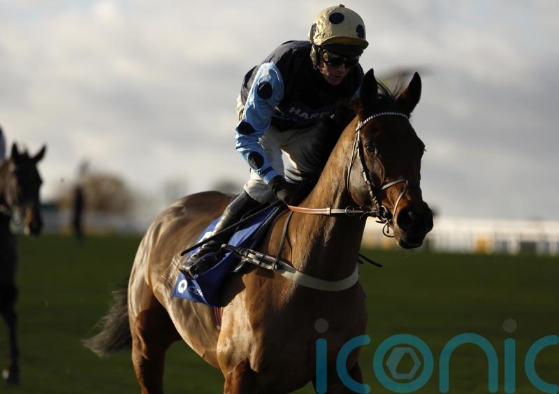 King happy to send Edwardstone into Jonbon battle again