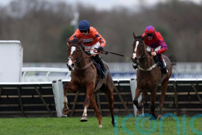 Ascot winner Belliano ‘very much one for the future’