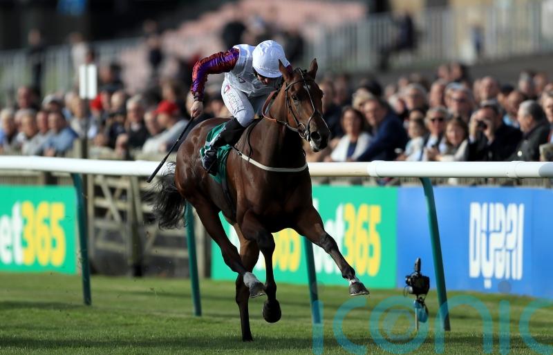 First Ambition gets Laurens off the mark as broodmare