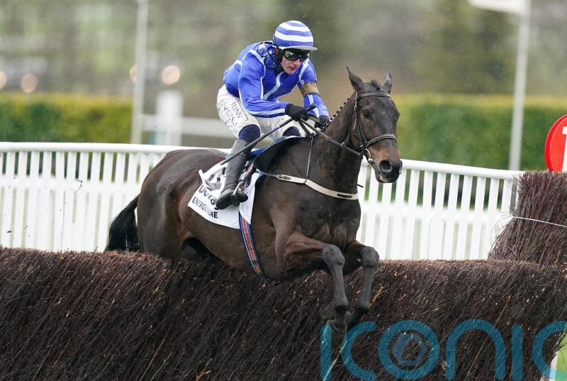 Energumene still in the mix for Clarence House showdown with Jonbon