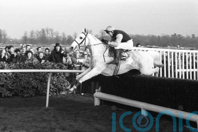 Powell recalls Panto’s Ascot battle with jumps great Dessie