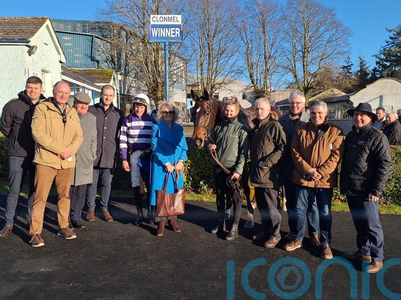 Funiculi Funicula makes an impression on debut for Mullins