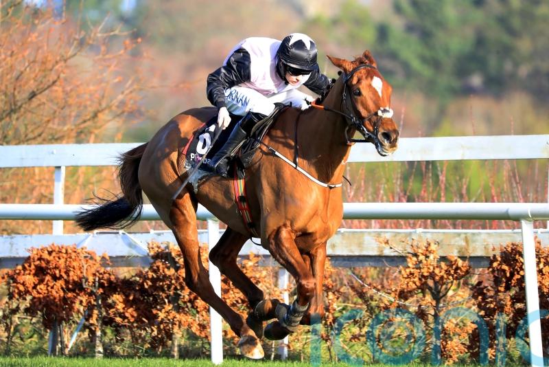 De Bromhead hoping Windsor Journey pays dividends