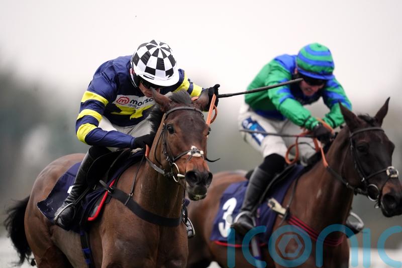 Jubilee Alpha sets up Cheltenham bid with Windsor victory