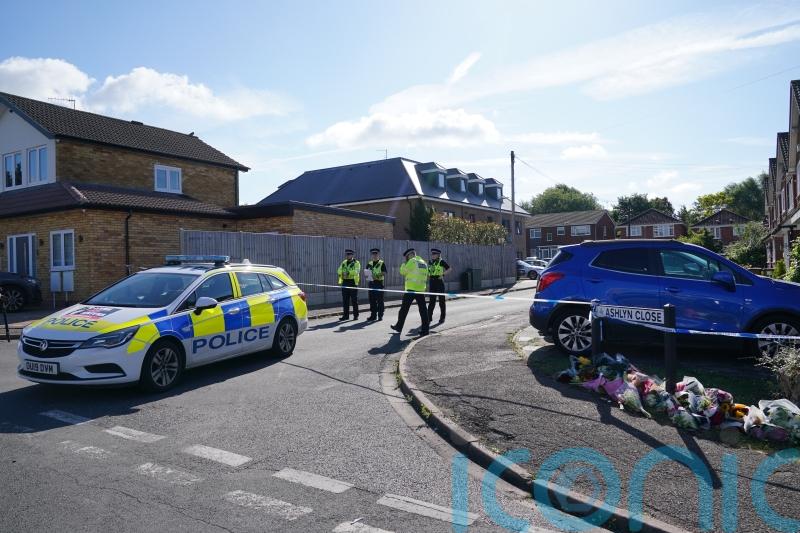 Man admits crossbow murders of ex-partner and sister and fatally stabbing mother