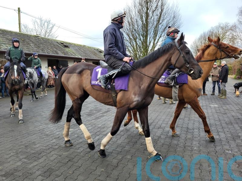 Mullins ‘delighted’ with Galopin Des Champs ahead of Dublin Racing Festival