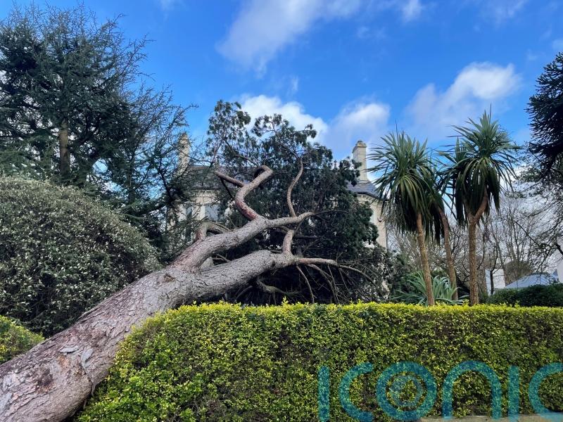 It will take days to assess all Storm Eowyn damage in Northern Ireland &ndash; police