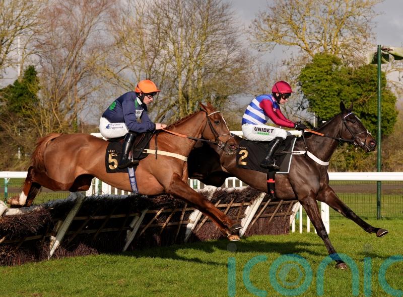 Califet En Vol boosts The New Lion with Huntingdon success