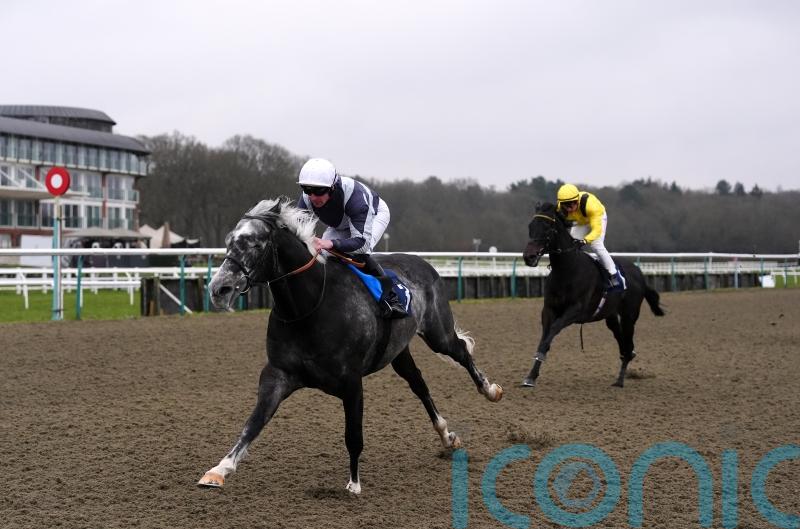 Tyrrhenian Sea floors Maljoom in Lingfield feature