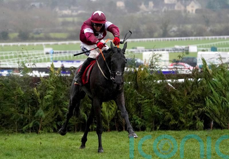 ‘Absolute superstar’ Delta Work dies aged 12