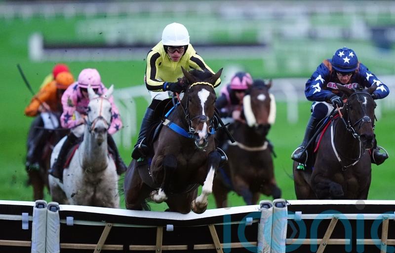 County ‘probably’ favoured over Champion Hurdle for Burdett Road