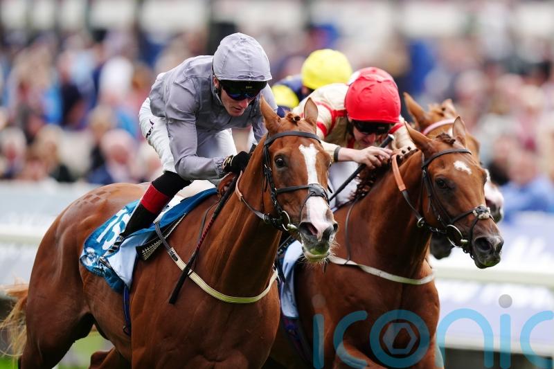 Burke duo head Lincoln betting after Qirat comes out