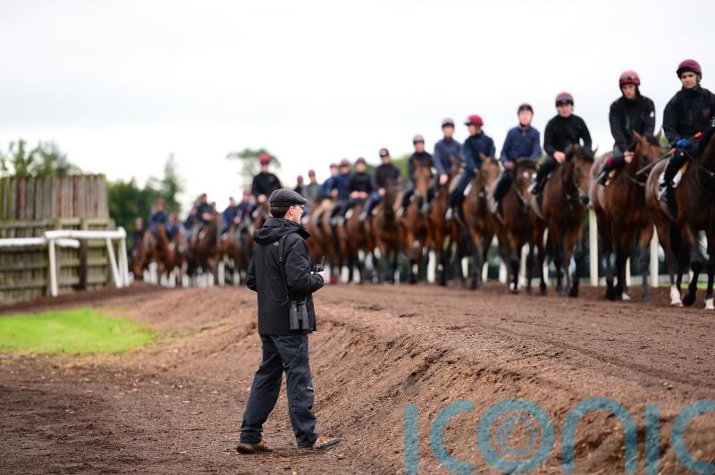 ‘Very quick’ Australian import Storm Boy impressing at Ballydoyle