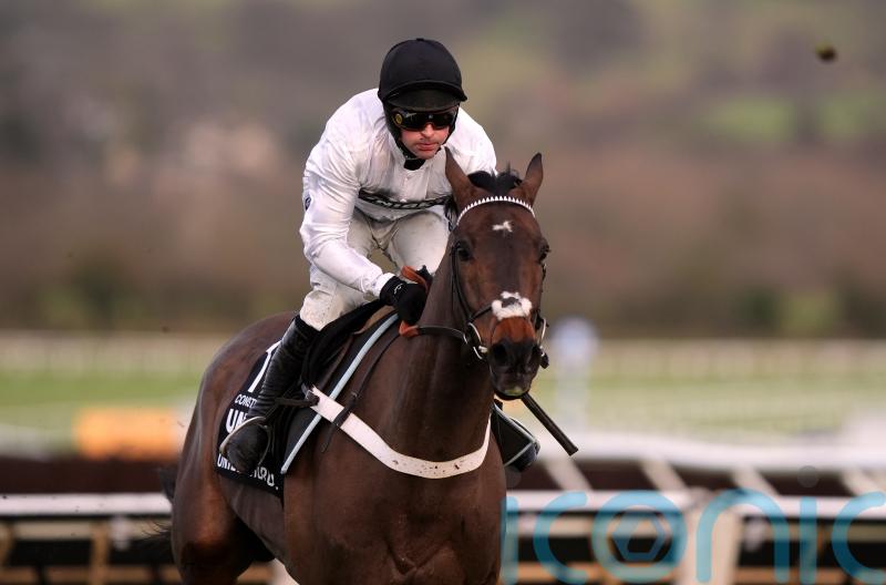 Big two poised for Aintree Hurdle rematch