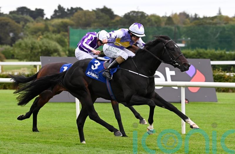 Harrington has ‘vague plan’ for Guineas contenders