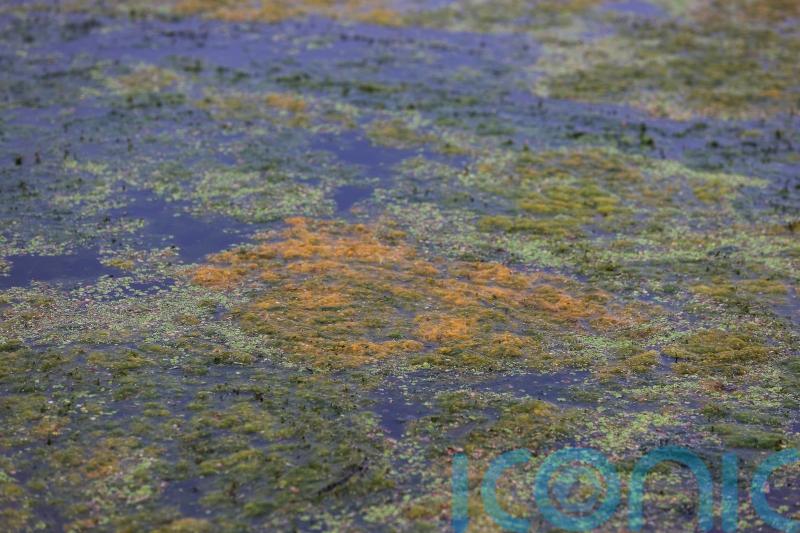 Stormont votes to establish climate commissioner despite cost concern