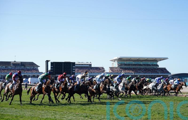 World Horse Welfare ‘deeply saddened’ by death of Celebre d’Allen