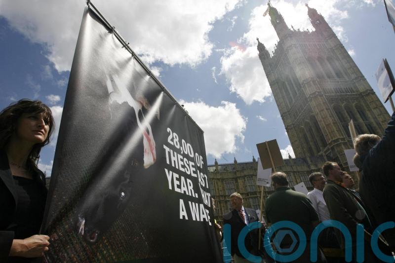 Blueprint puts renewed focus on eradication of bovine TB