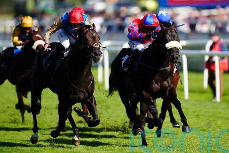 Appleby eager to assess Big Mojo’s Commonwealth Cup prospects