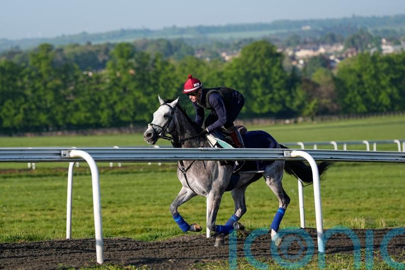 Field Of Gold can ‘close the circle’, says Gosden
